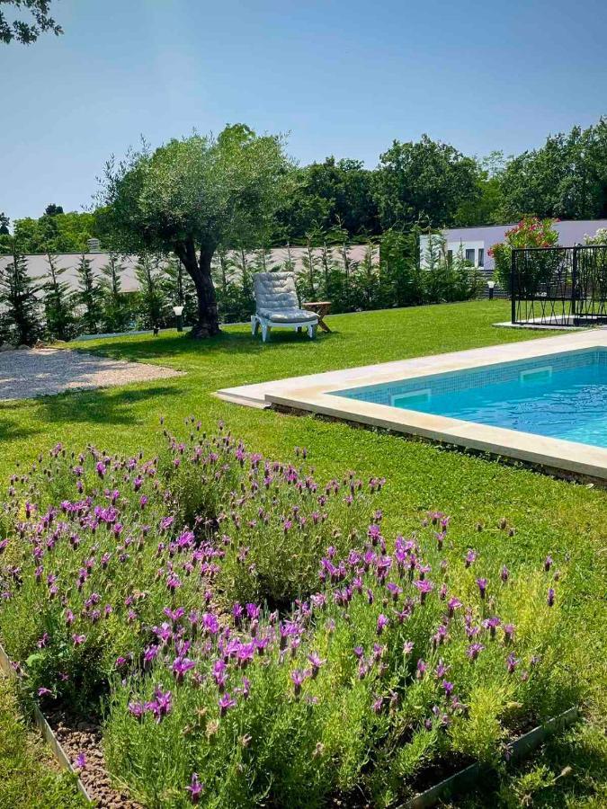 Villa Destiny Nedescina, Istrien, Kroatien المظهر الخارجي الصورة